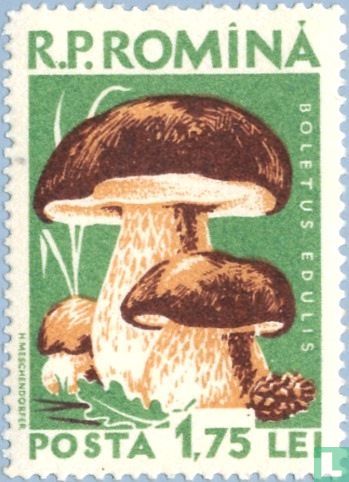 Mushrooms