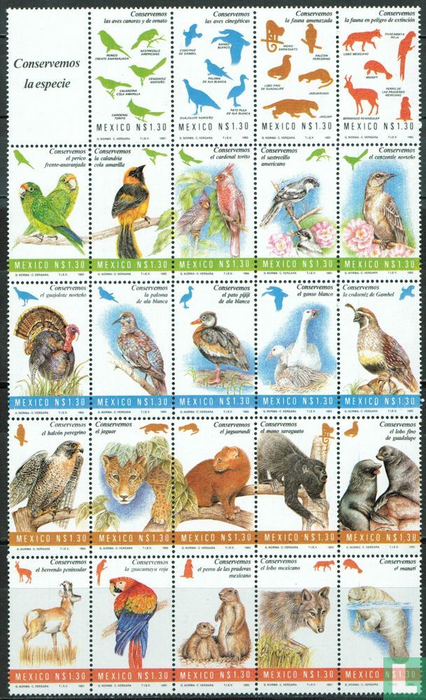 conservation