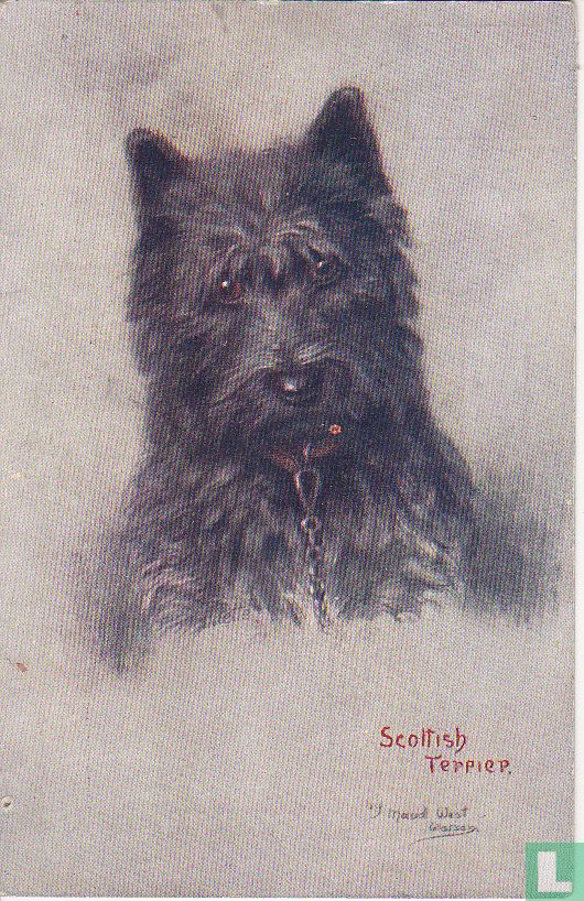 Scottish Terrier