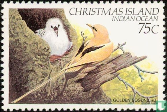 Oiseaux