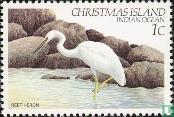 Oiseaux