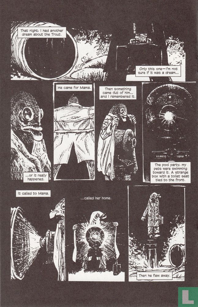 Ojo 5