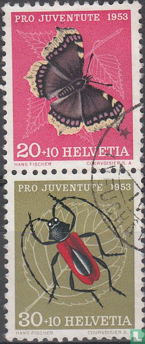 Butterflies and insects