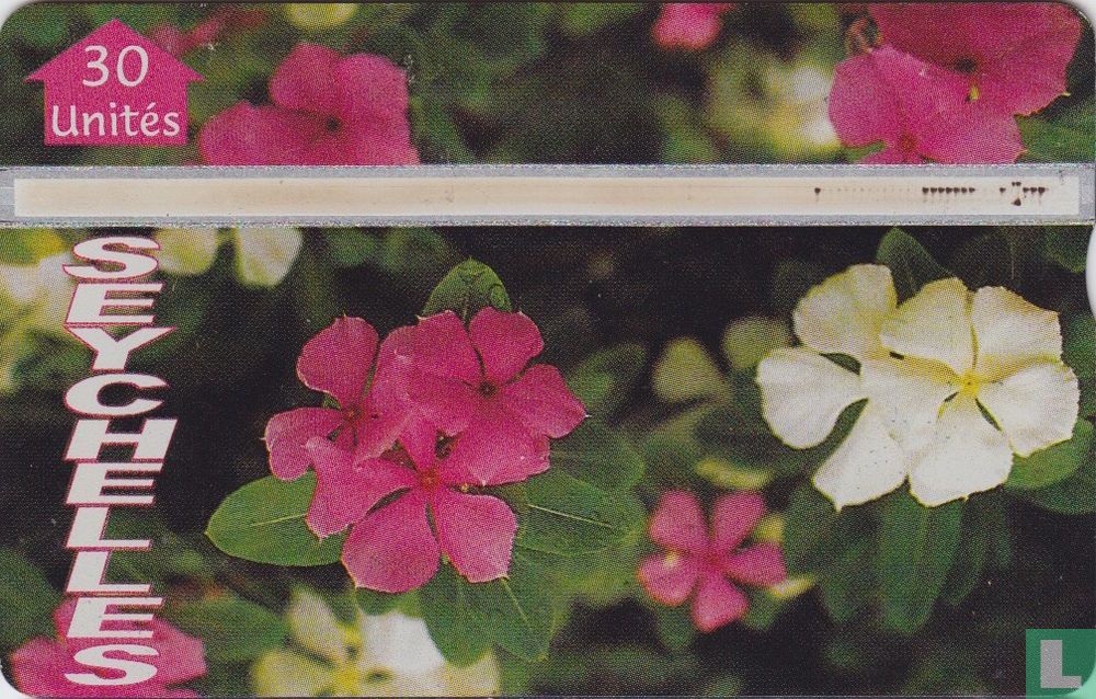 Medicinal Plants