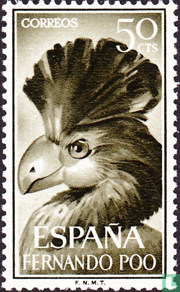 Oiseaux 