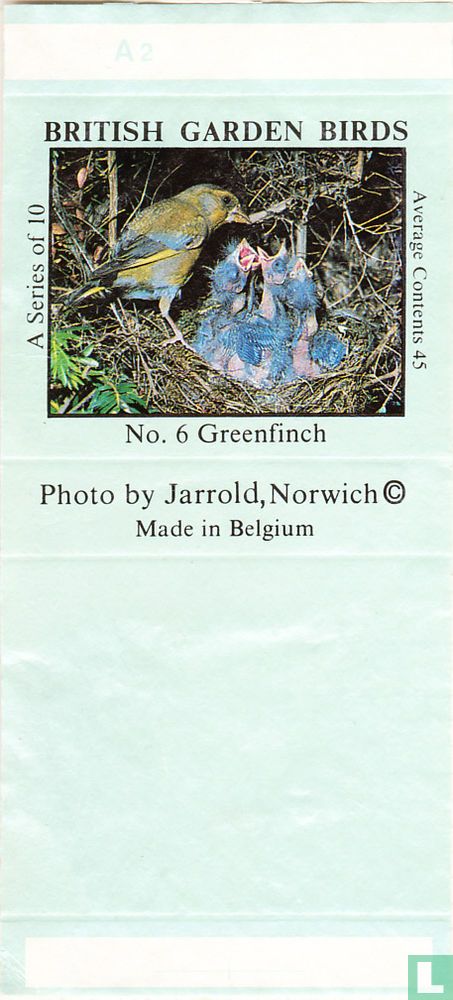 Greenfinch