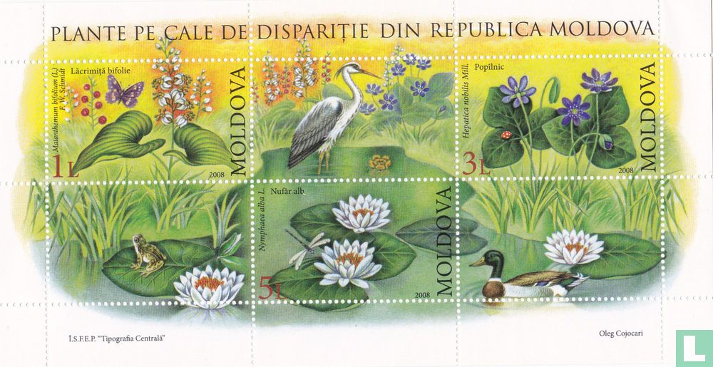 Endangered plants
