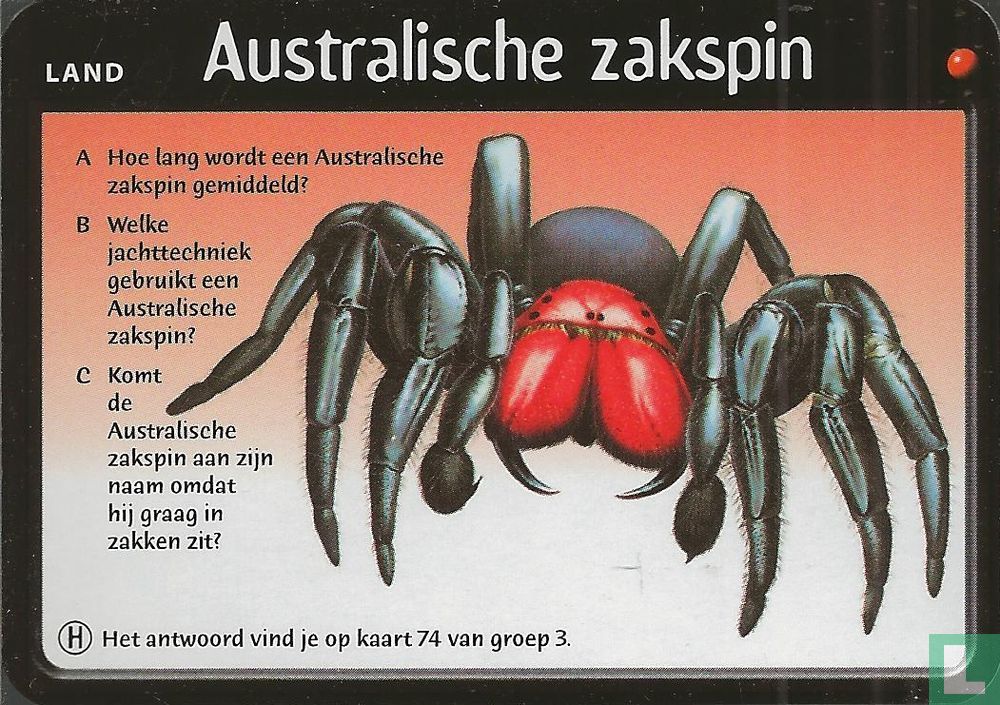 Australische zakspin