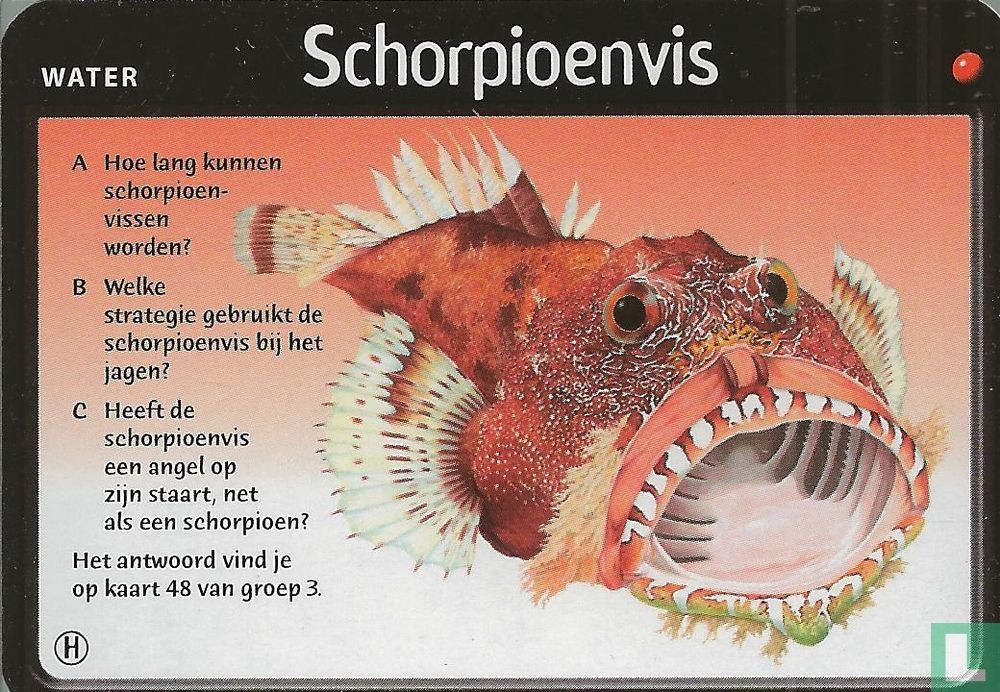 Schorpioenvis