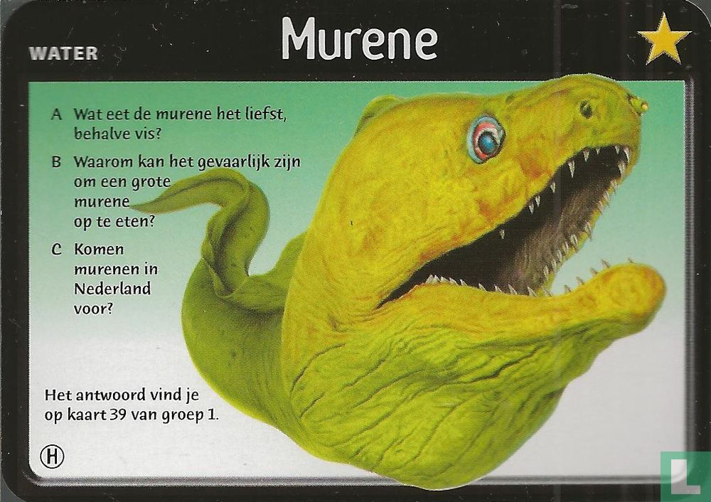 Murene