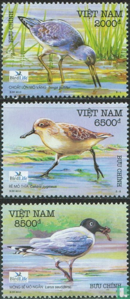 Oiseaux