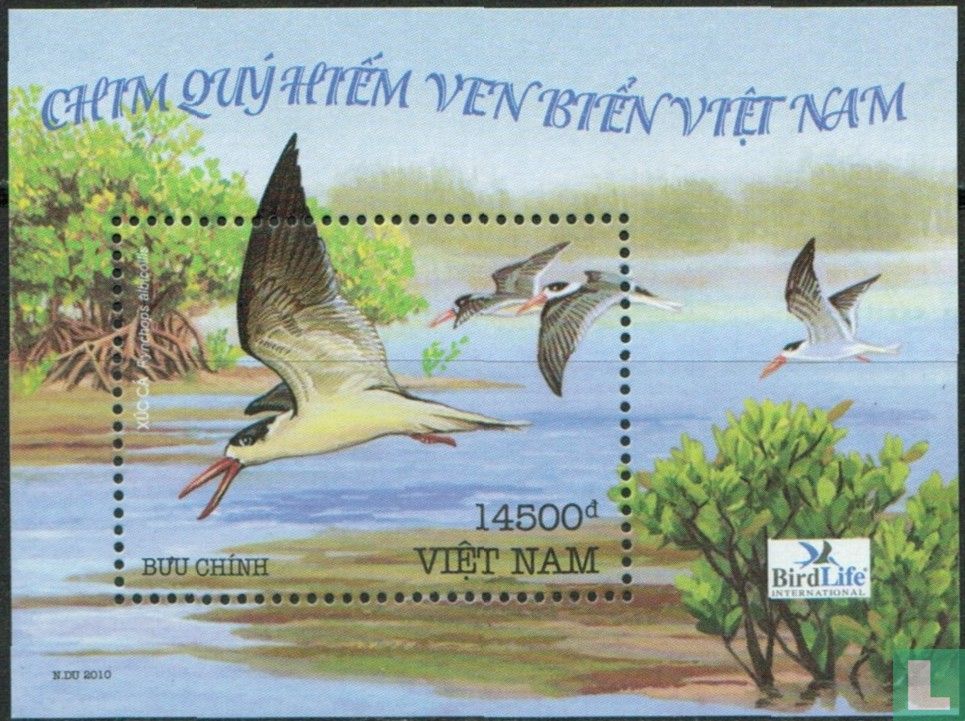 Oiseaux