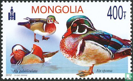 Birds