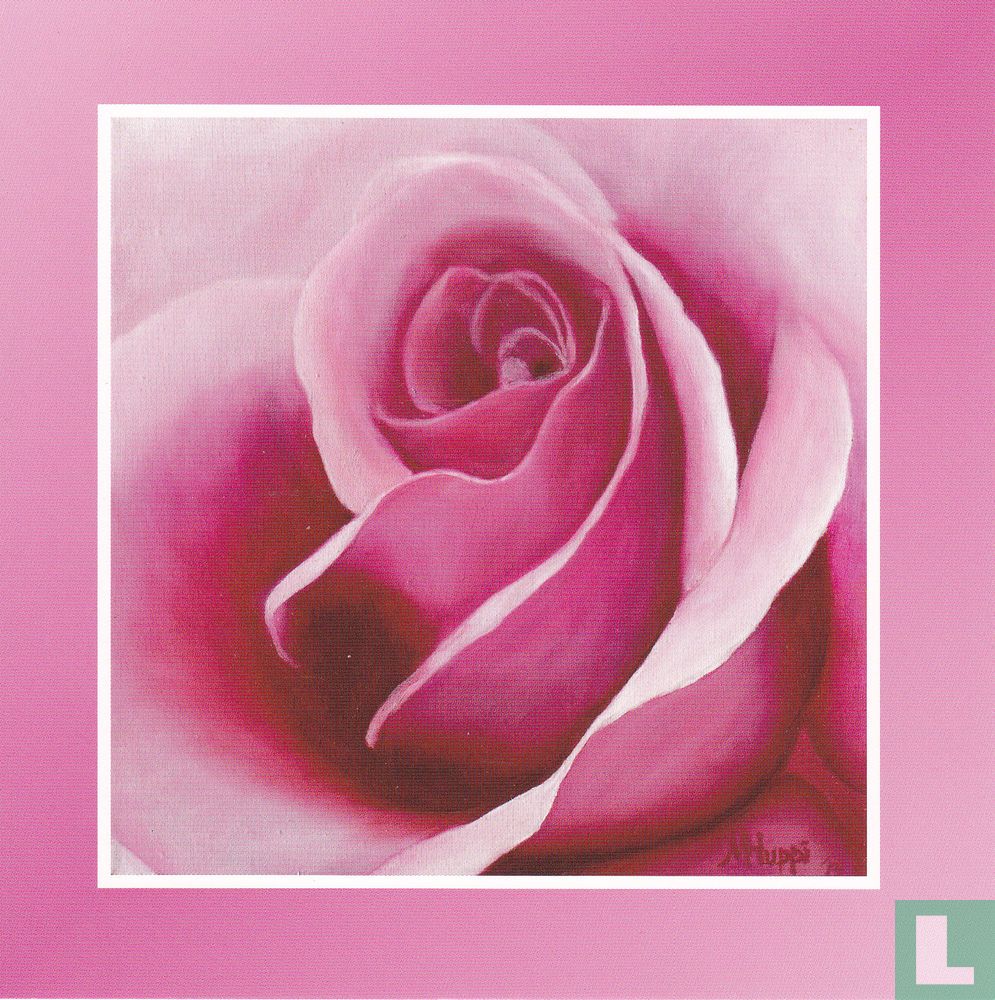 Bloemen: Roos