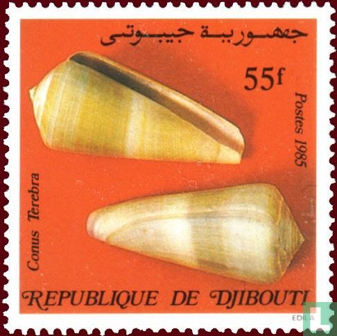 Shells