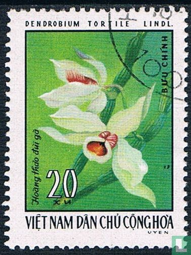 orchids
