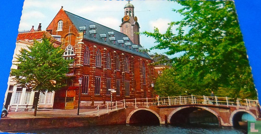 Universiteit