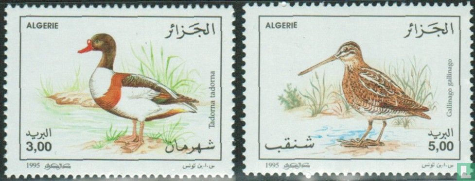 Water vogels