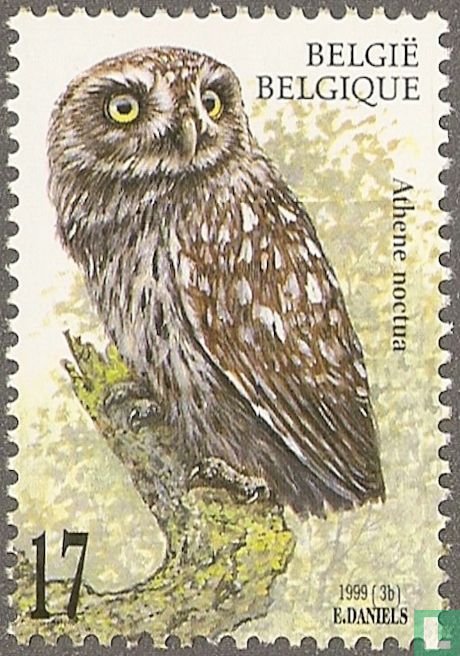 Steenuil