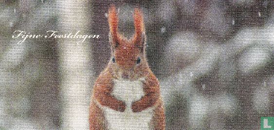 Dieren: Eekhoorn