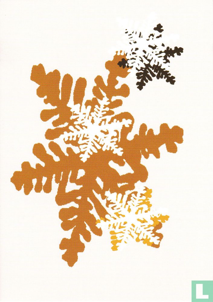 Feestdagen: Kerstster