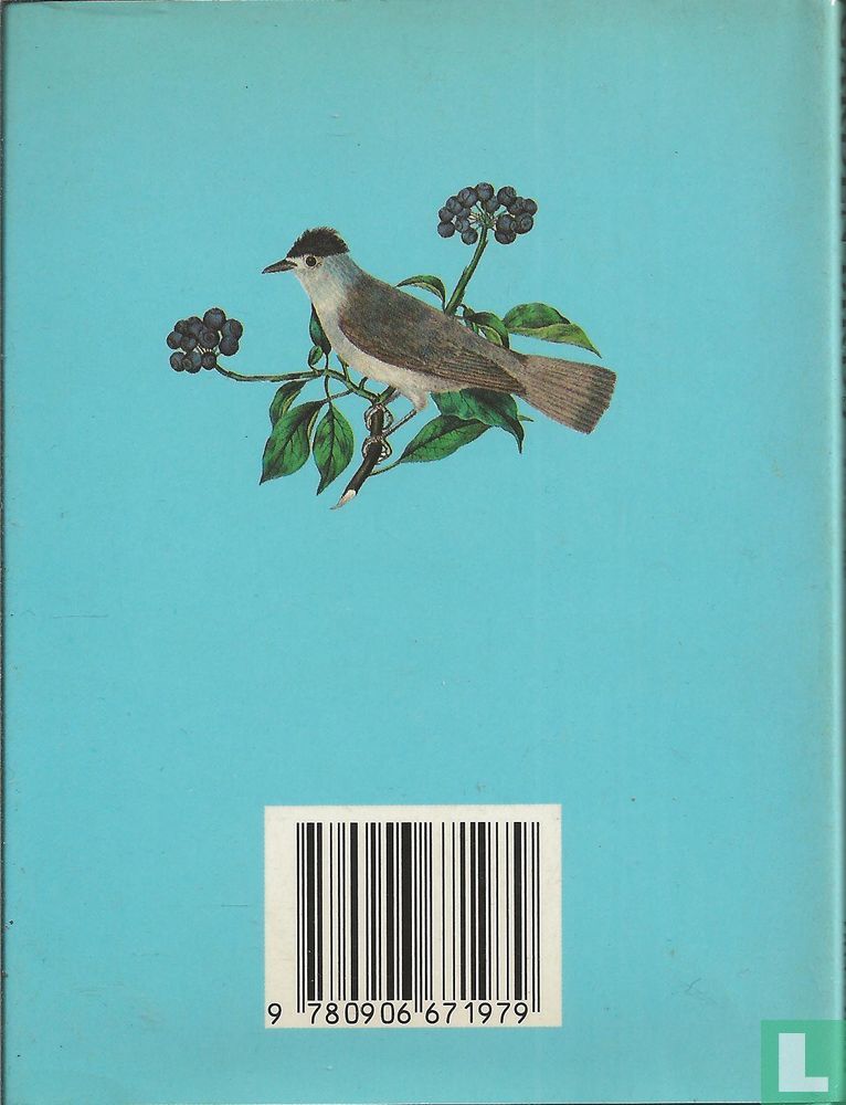 Garden Birds