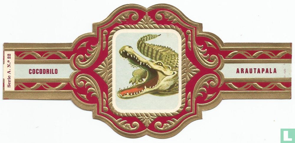 Cocodrilo