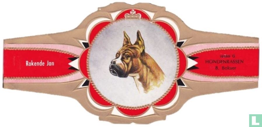 Boxer