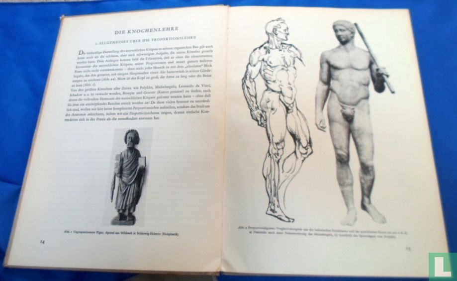 Künstler Anatomie