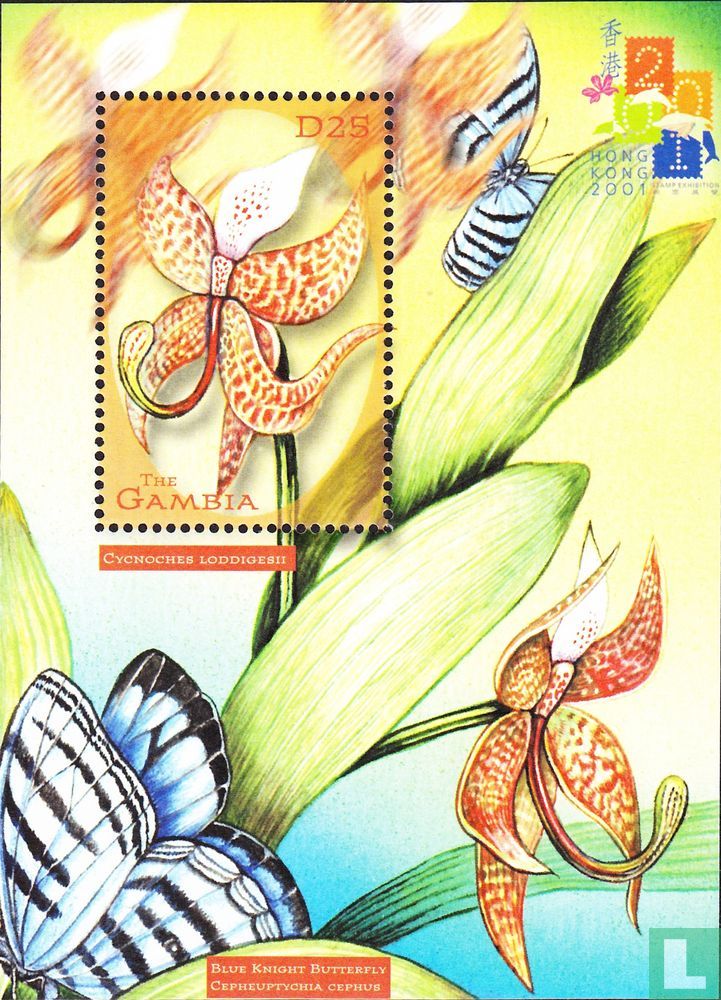 Hong Kong 2001