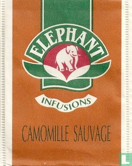 Camomille Sauvage
