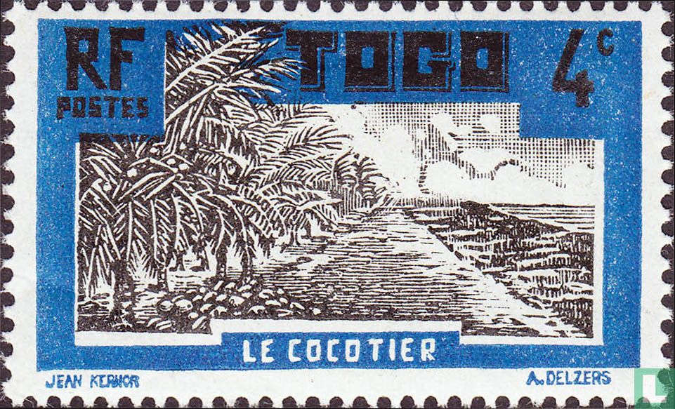 Cocotier