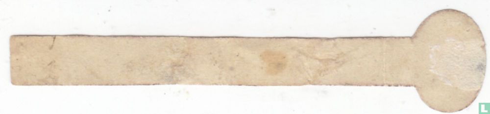 Brevas Ricas
