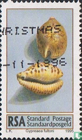 Shells