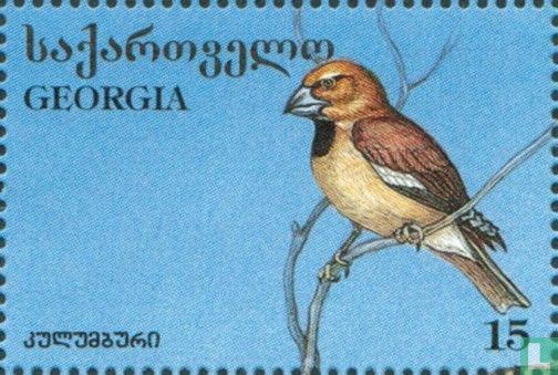 Vögel