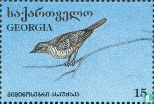 Vögel