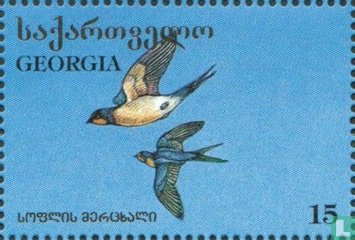 Vögel