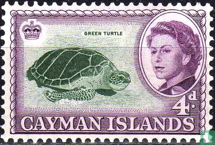 Tortue verte