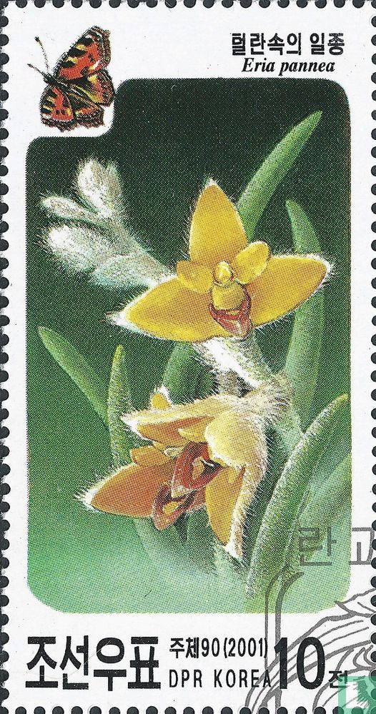 Orchids