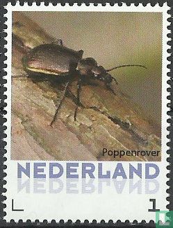 Beetles - Poupées Rover