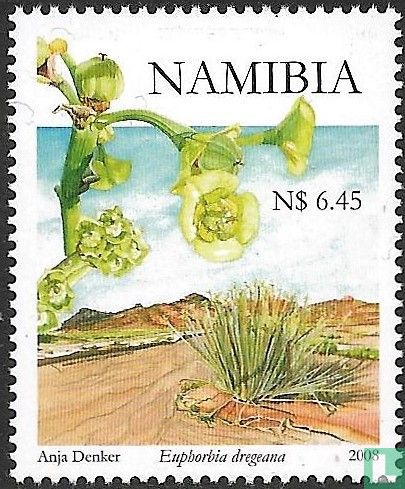 Euphorbia