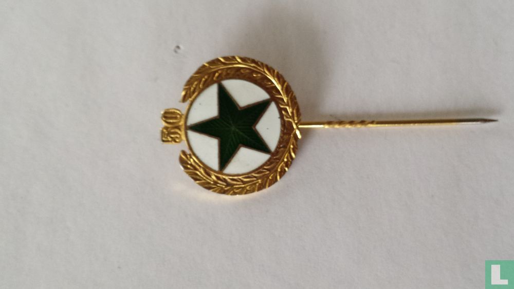 50 groene ster logo