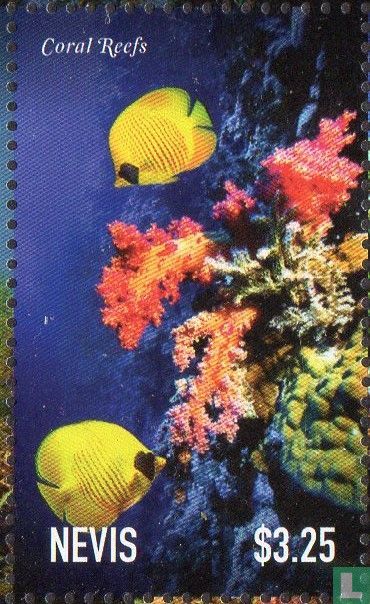 Coral reefs 