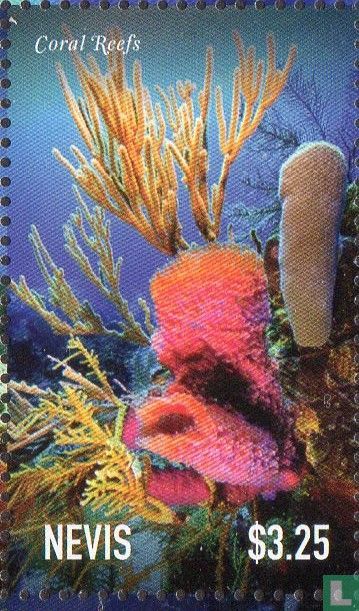 Coral reefs