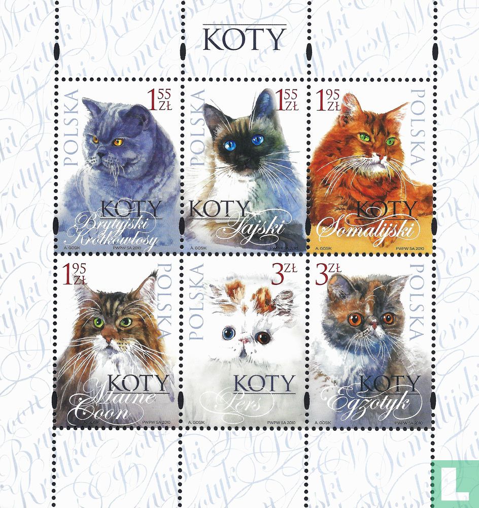 Chats