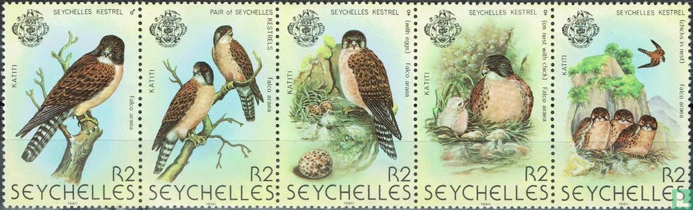 Seychelles kestrel