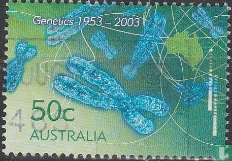 Discovery DNA structure