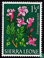 Fleurs