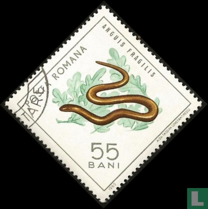 Hazelworm