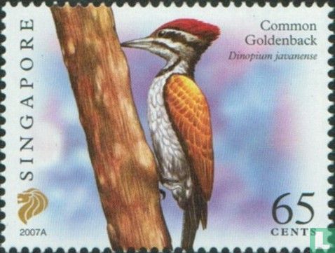 Oiseaux
